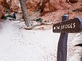 Canyons633