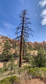 Canyons672