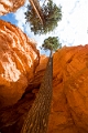 Canyons693