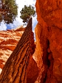 Canyons695