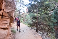 Canyons782