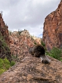 Canyons929