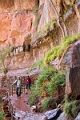 Canyons947