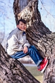 WongFamily033