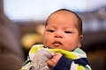 Toby1Month002