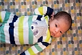 Toby1Month004