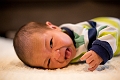 Toby1Month007