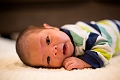 Toby1Month008
