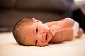 Toby1Month010