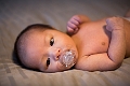 Toby1Month011