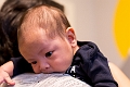 Toby1Month045
