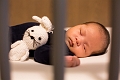 Toby1Month057