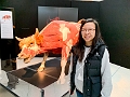 BodyWorlds001