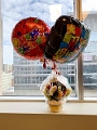 JeffBirthday001
