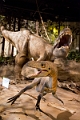 Drumheller003