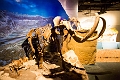 Drumheller012