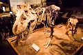 Drumheller013