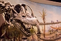 Drumheller018