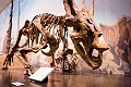Drumheller020