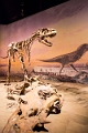 Drumheller021