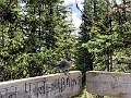 SulphurMountain039