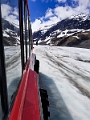 Jasper015