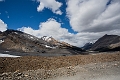 Jasper041