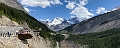 Jasper053