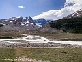 Jasper109