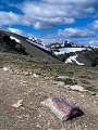 Jasper179