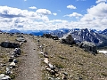 Jasper202