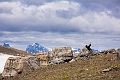 Jasper203