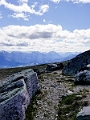 Jasper227