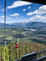 Jasper237
