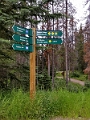 Jasper244