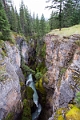 Jasper247
