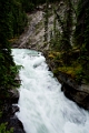 Jasper277