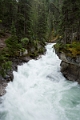 Jasper282