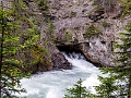 Jasper286