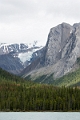 Jasper338