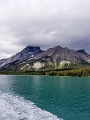 Jasper339