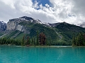 Jasper345