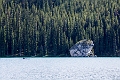 Jasper382