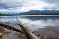 Jasper395