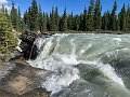 Jasper423