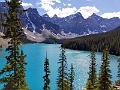 Jasper515