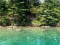 TwoJackLake033