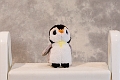 Pongo001