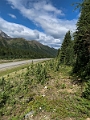 Kananaskis005