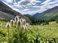 Kananaskis015